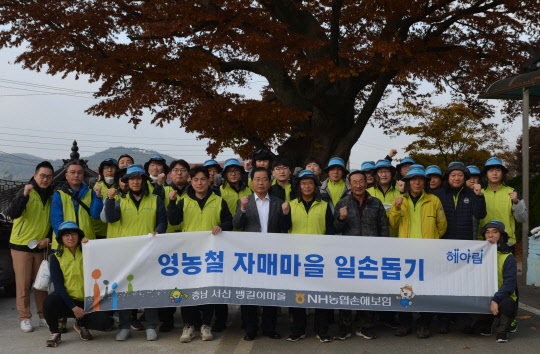 NH농협손해보험 헤아림 봉사단은 지난 8일, 충남 서산시 소재 자매마을인 뱅길이 마을을 찾아 농촌 일손돕기를 실시했다고 9일 밝혔다. 농협손보 제공